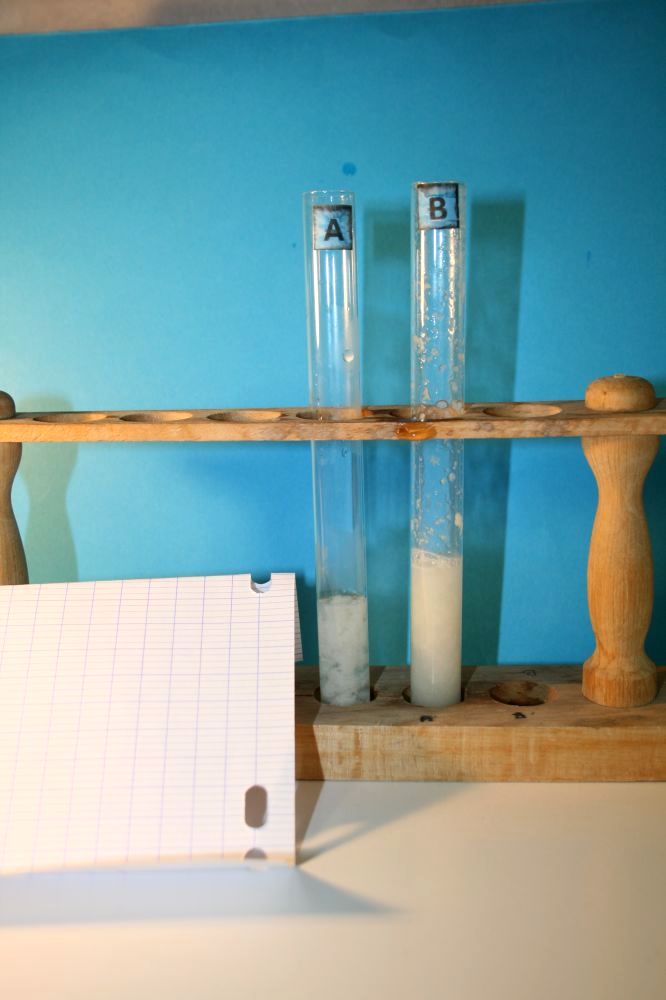 gal/LES_CINQUIEMES/ACTIVITE DIGESTION IN VITRO/Groupe_02/Groupe02_T_00h20min/Groupe02_temps00H20min_21.jpg